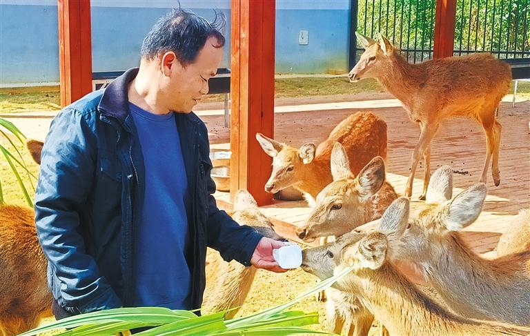 展产业调研】林下生金不朽情缘【高质量发(图3)